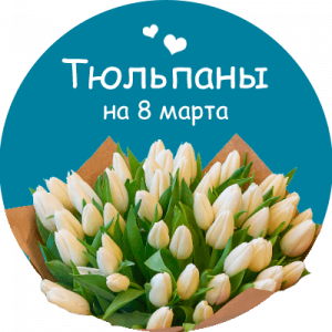 Купить тюльпаны в Семилуках